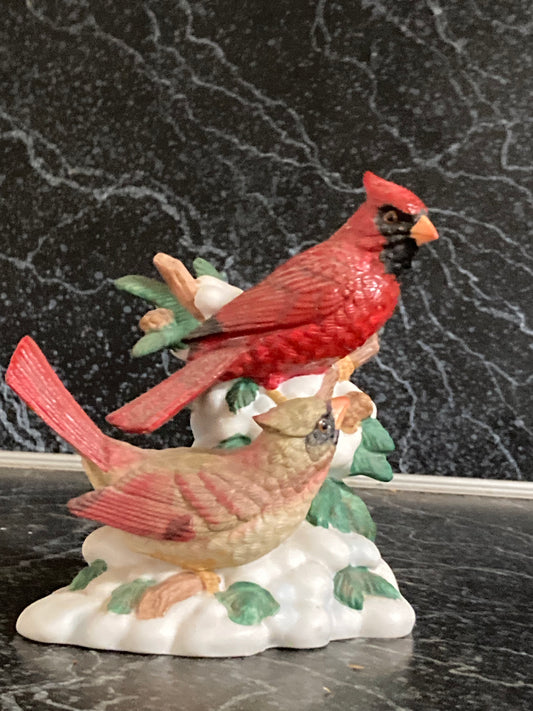 Cardinal Gathering